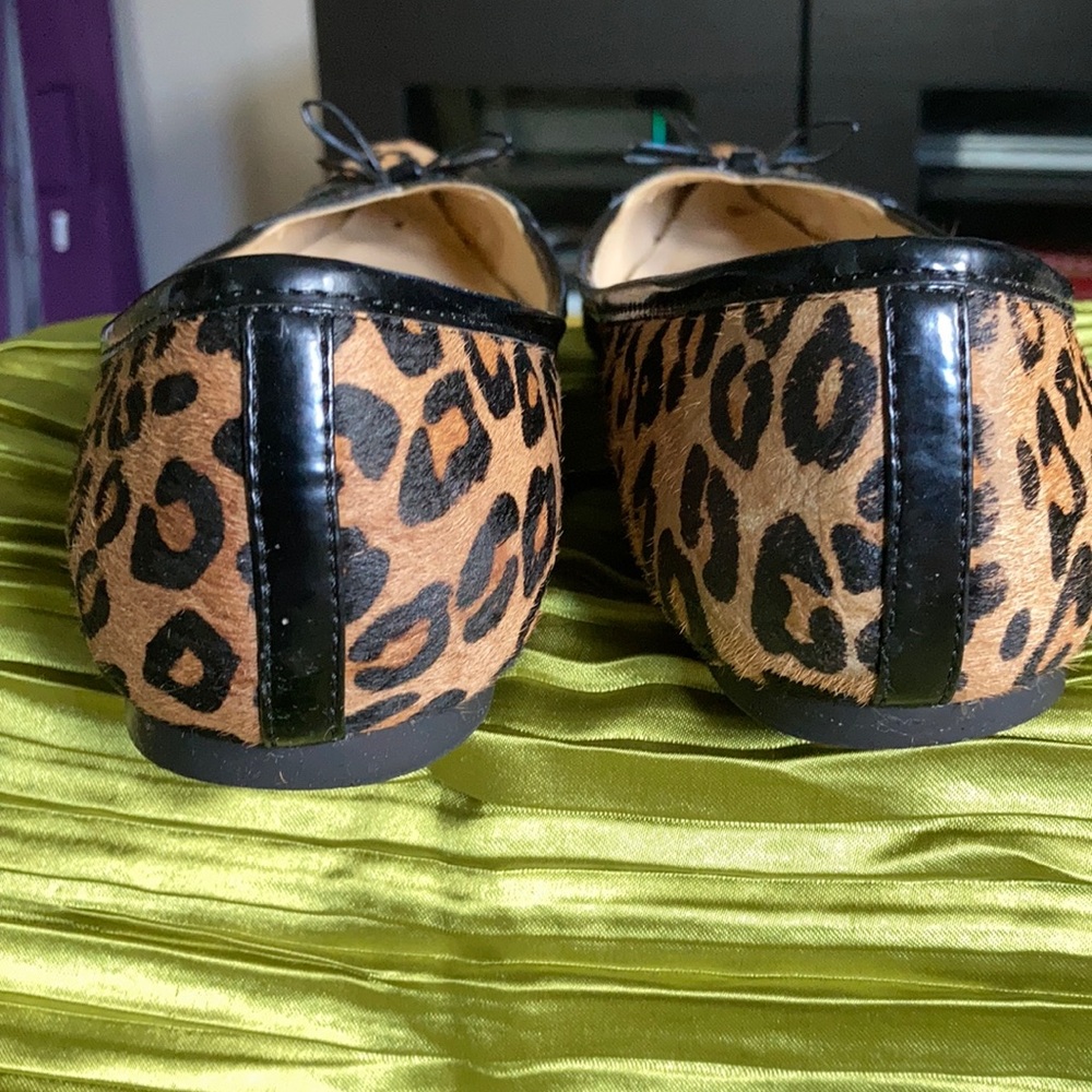 Leopard flats - Picture 6 of 6